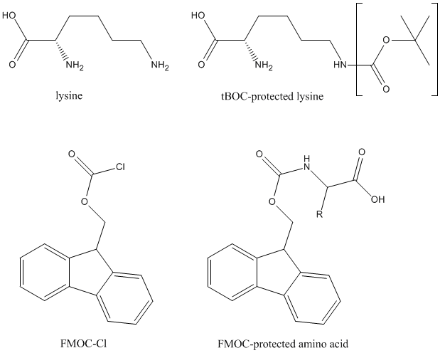 tBOC-FMOCprotected-amino-acids.gif